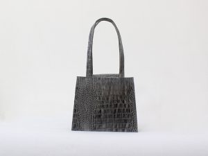 کیف مجلسی طوسی