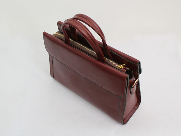 کیف زرشکی مجلسی