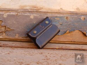 کیف عابر بانک پانیا