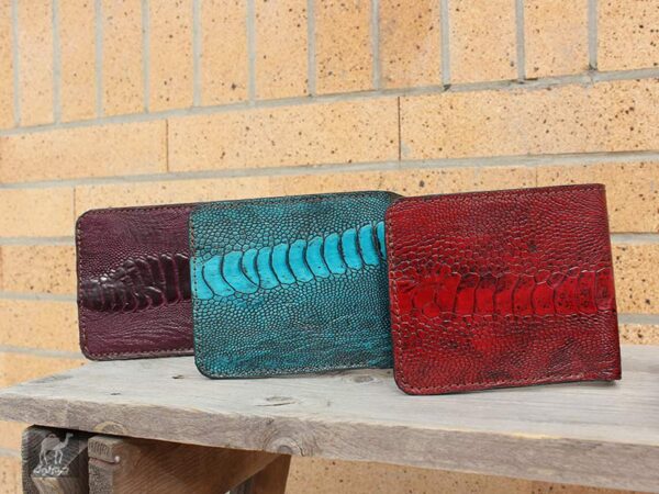 انواع ساق شتر مرغ