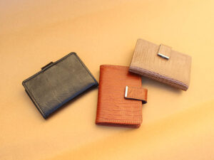 کیف چندکاره کارت بانکی