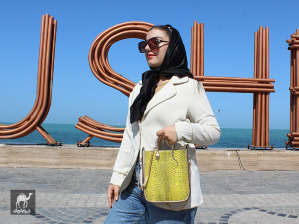 کیف مجلسی زنانه لوکس