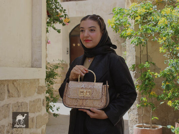 کیف مجلسی دولوکس